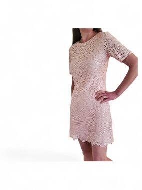 Kensie Blush Lace Mini Dress
